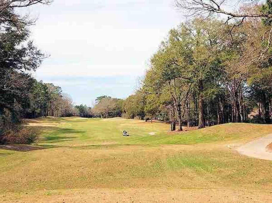 Donna'S Charm: 3 Br/King-Suite/Pools/Golf Daphne Extérieur photo